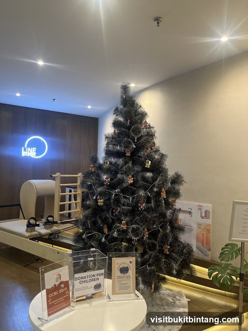 Christmas Tree and Pilates Equipment