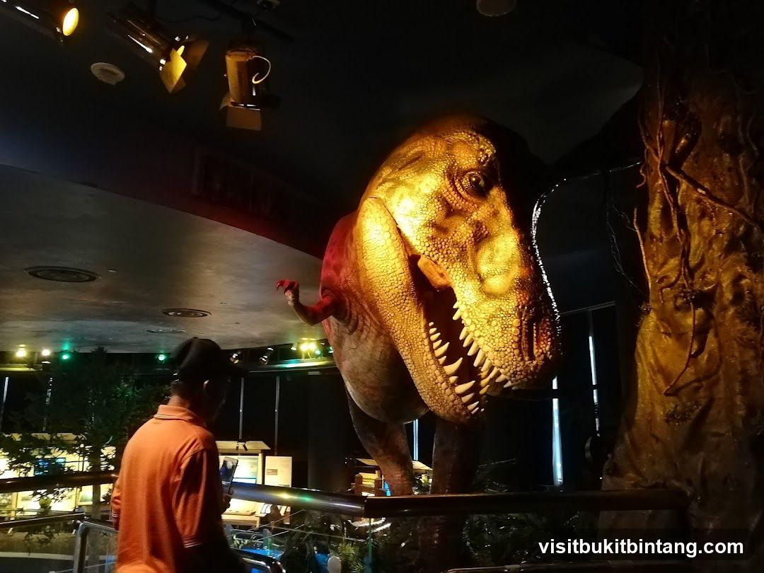 Dinosaur Exhibit