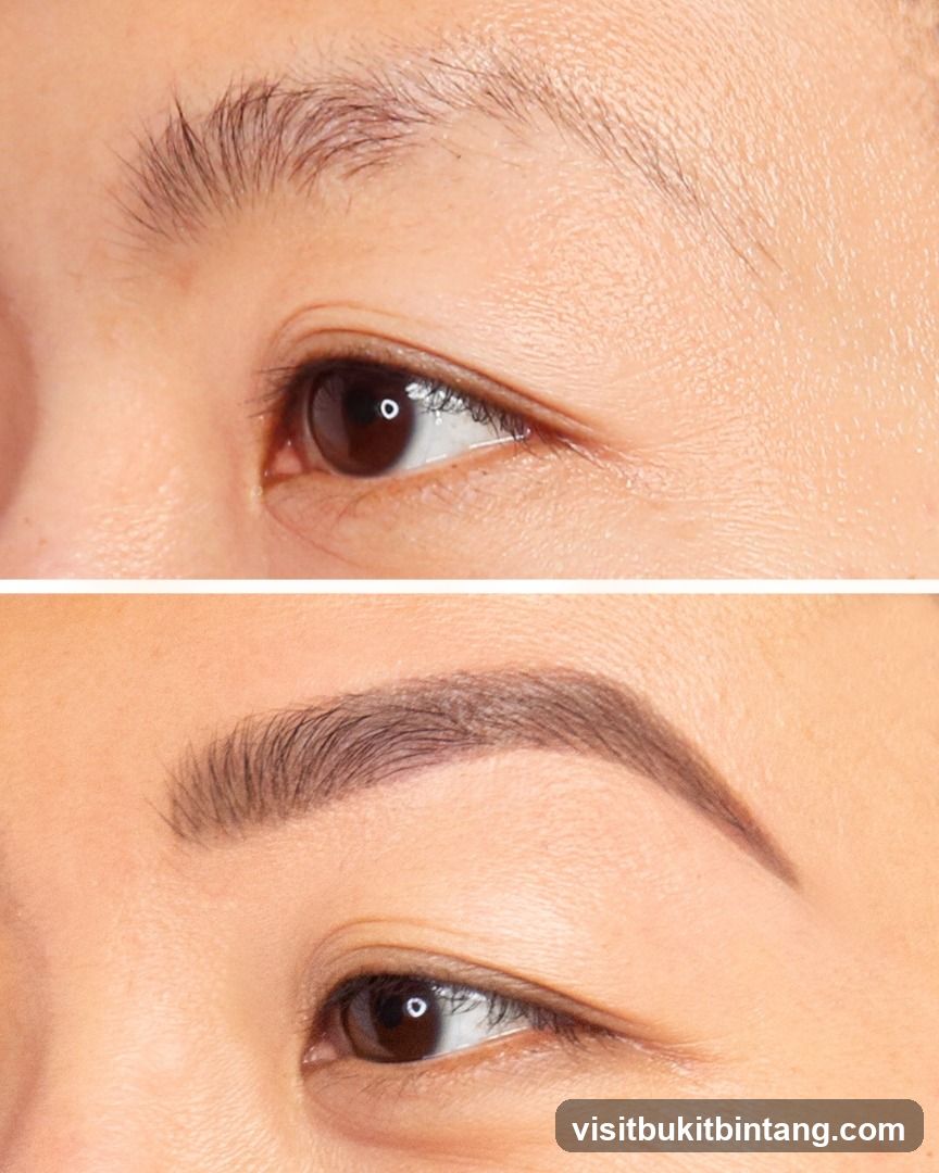 Eyebrow Comparison