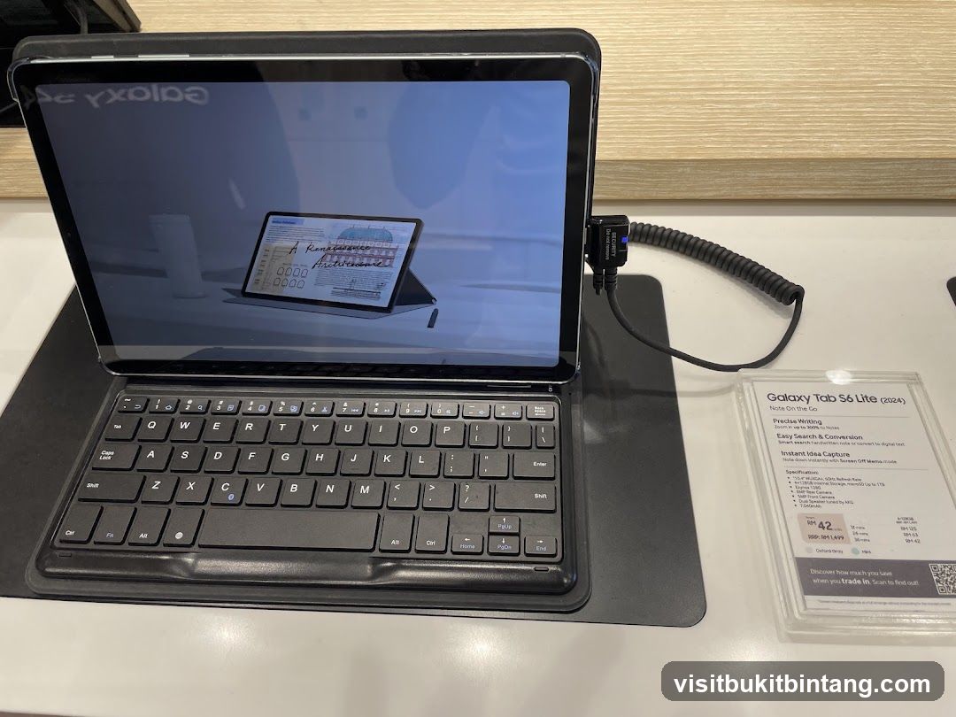 Samsung Galaxy Tab S6 Lite (2024)
