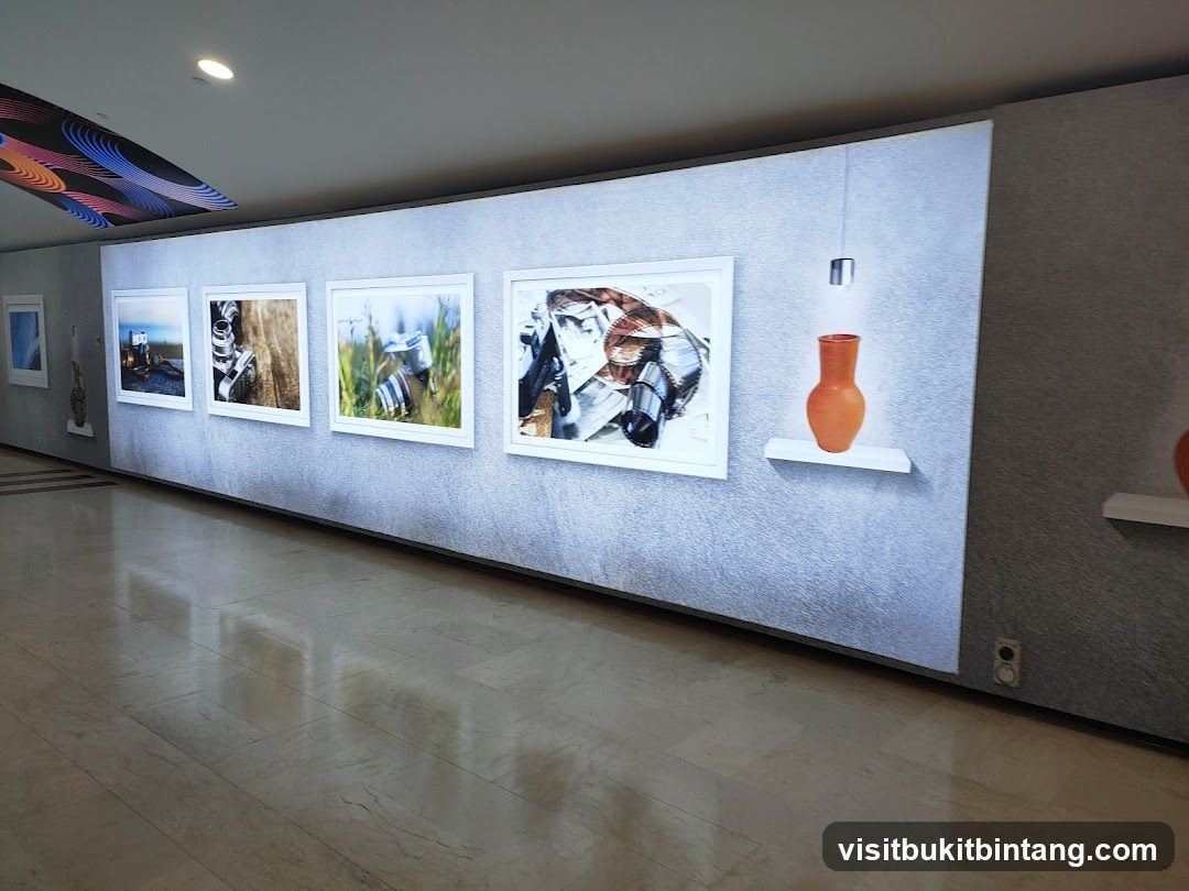 Art Exhibition