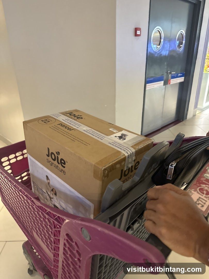 Shopping Cart with Parcel