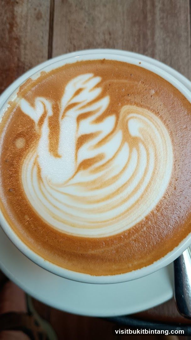 Latte with Swan Art