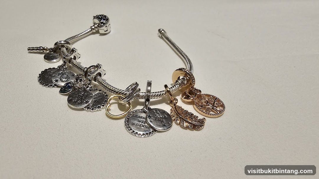Charm Bracelet with Various Charms