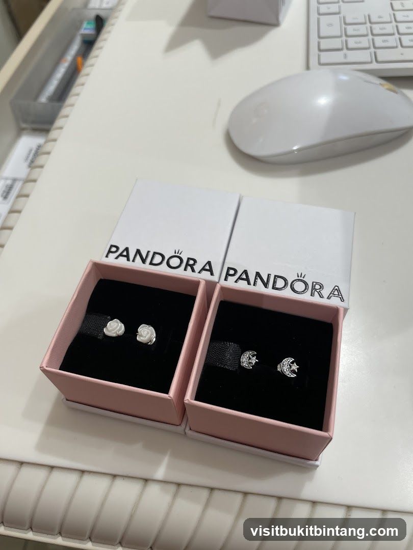 Pandora Earrings