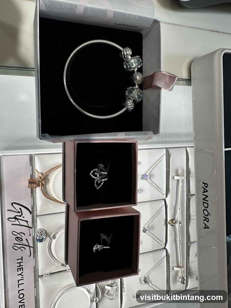 Pandora Jewelry Display