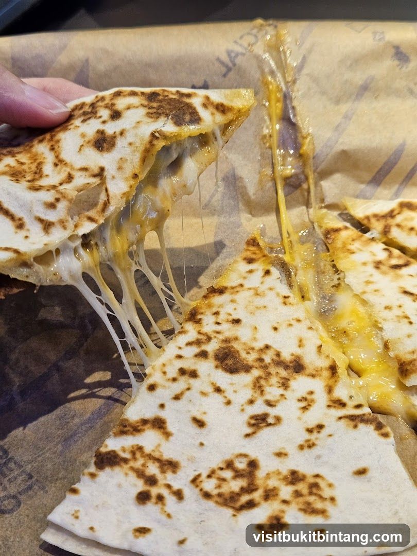 Cheesy Quesadilla