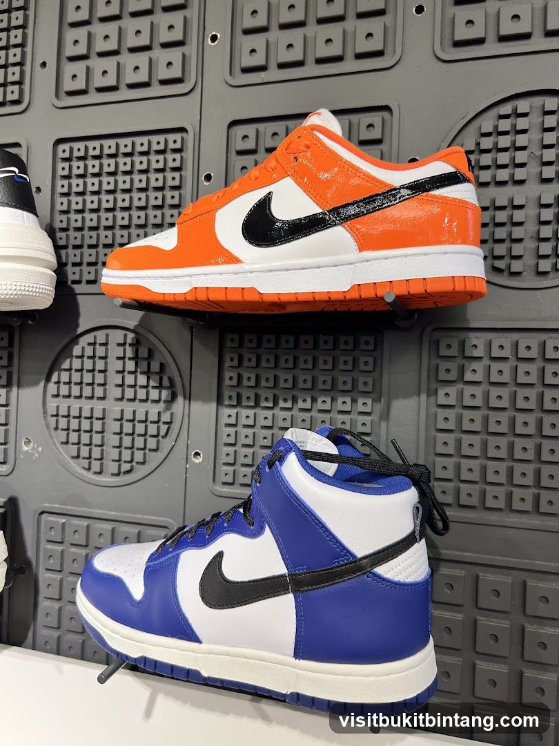 Nike Dunk Sneakers