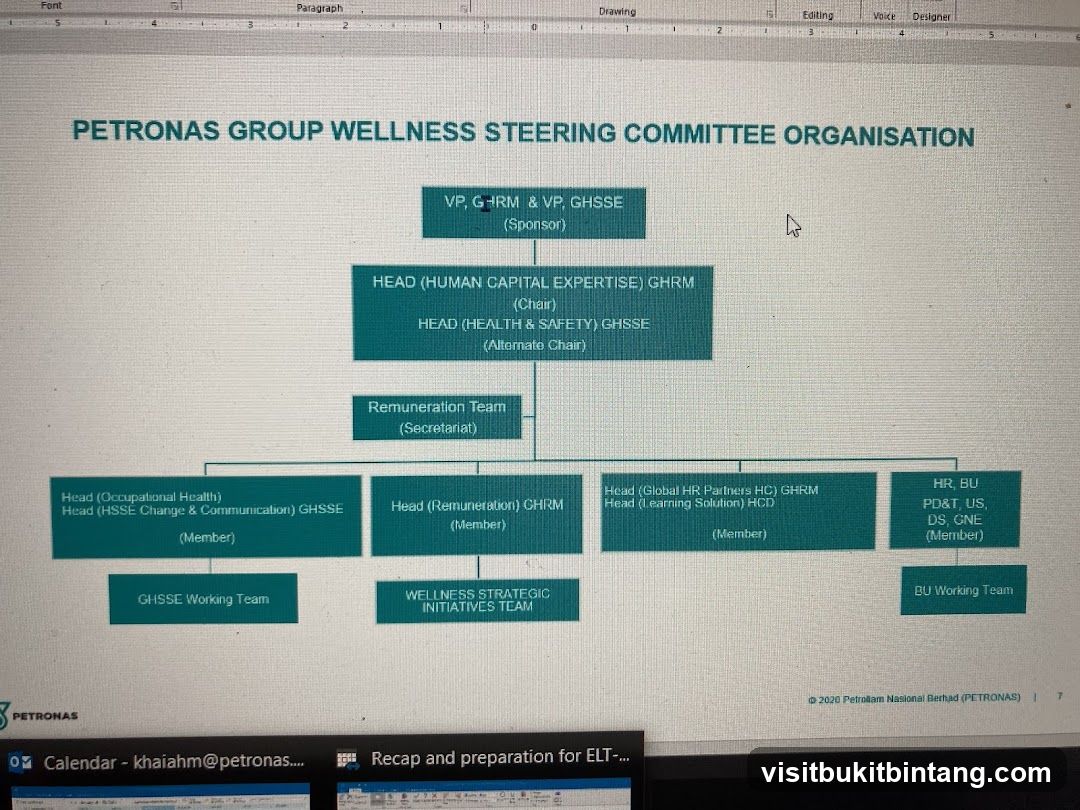 PETRONAS GROUP WELLNESS STEERING COMMITTEE ORGANISATION