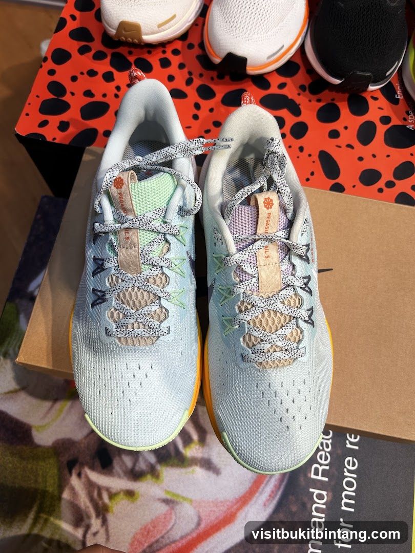 Nike Pegasus Shoes