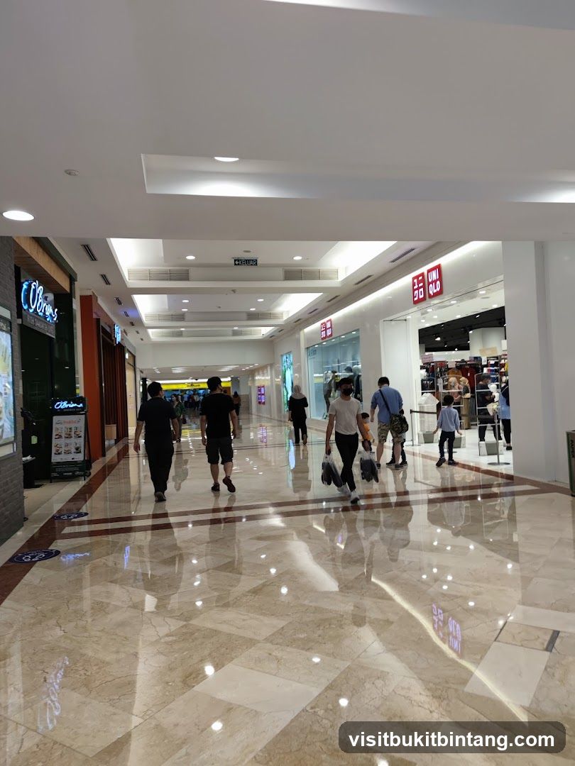 Mall Interior with Shoppers