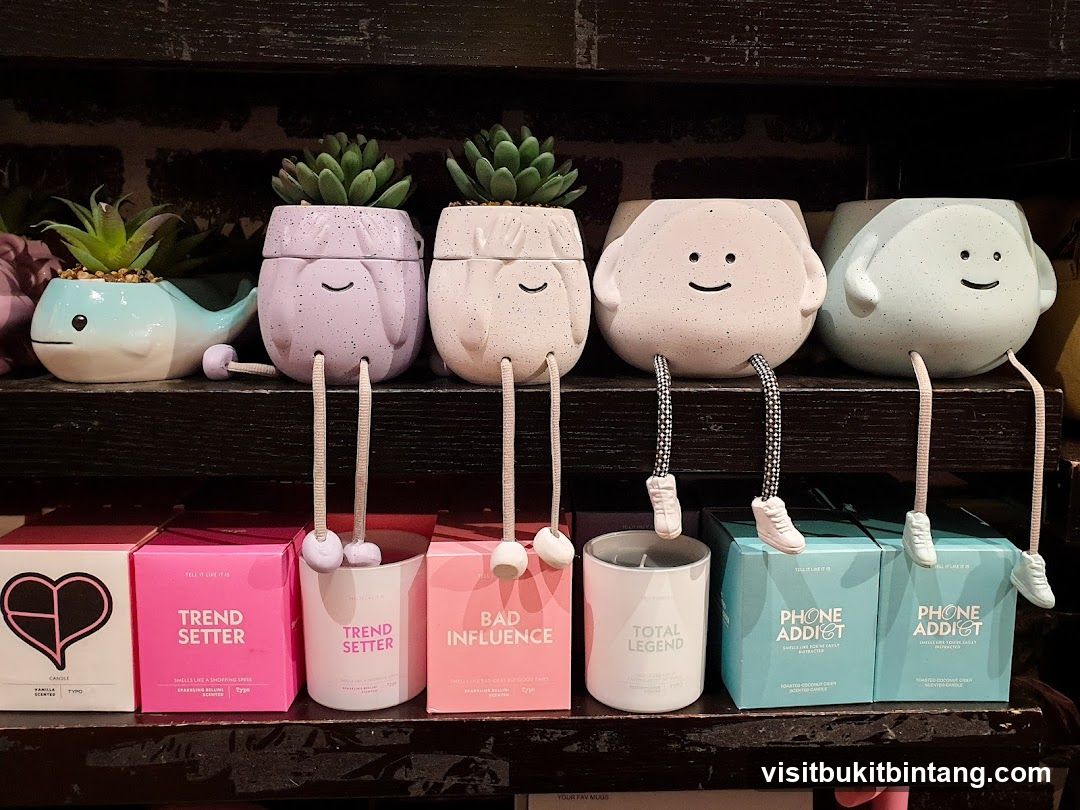 Decorative Planters and Candles