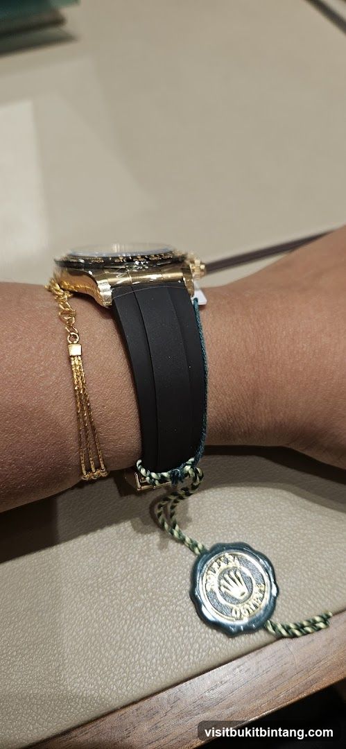 Rolex Watch on Wrist
