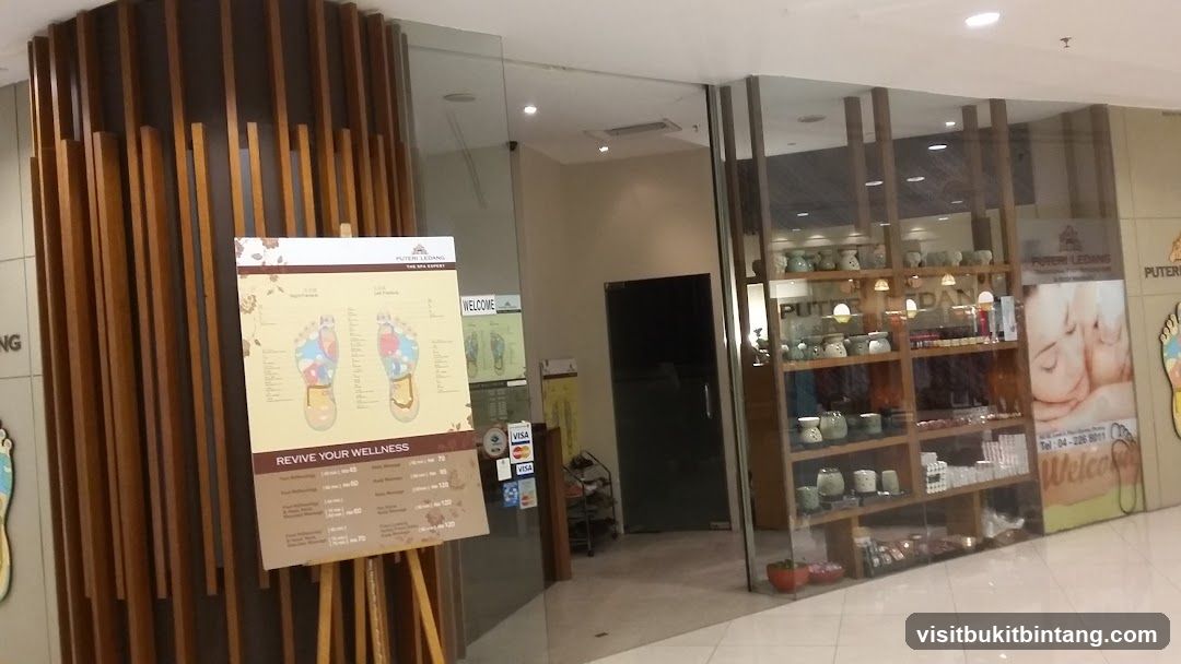 PUTERI LEDANG