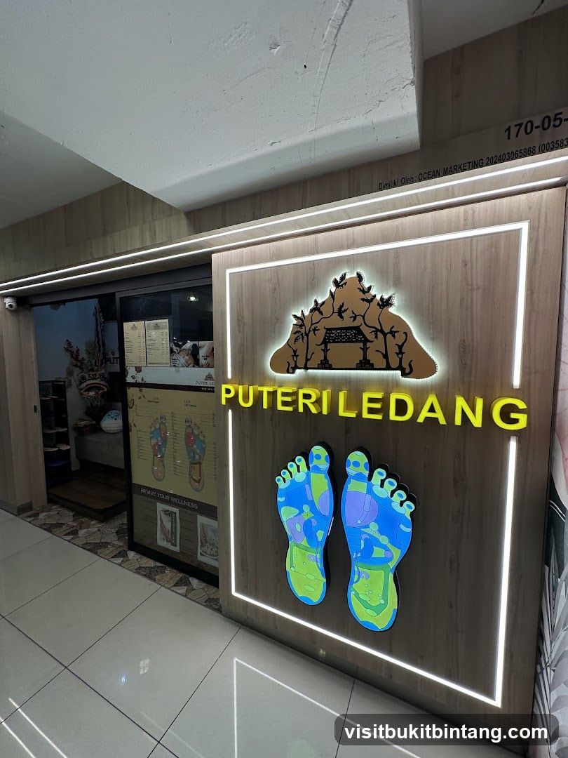 PUTERI LEDANG