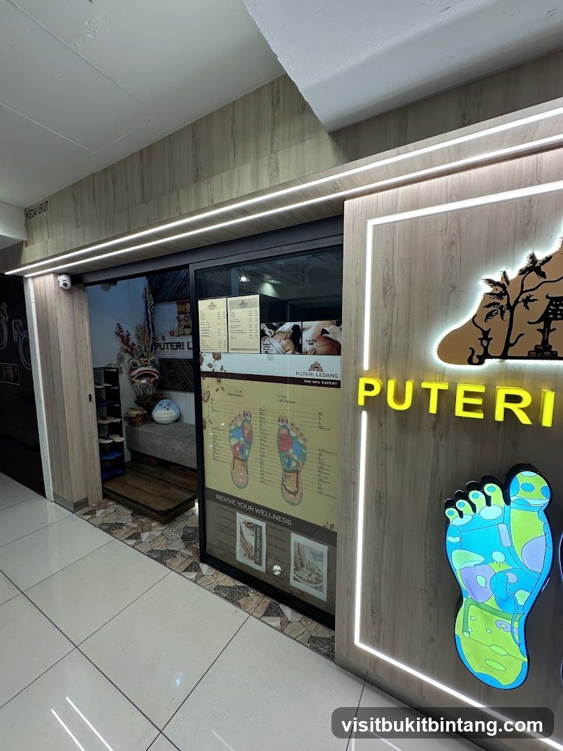 PUTERI LEDANG