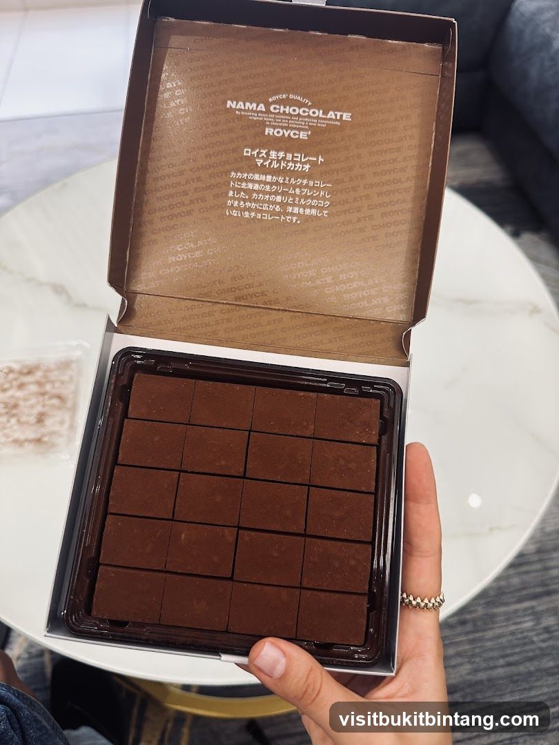 Royce Nama Chocolate