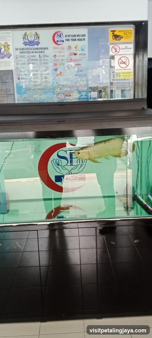 Fish Tank Display with Signage