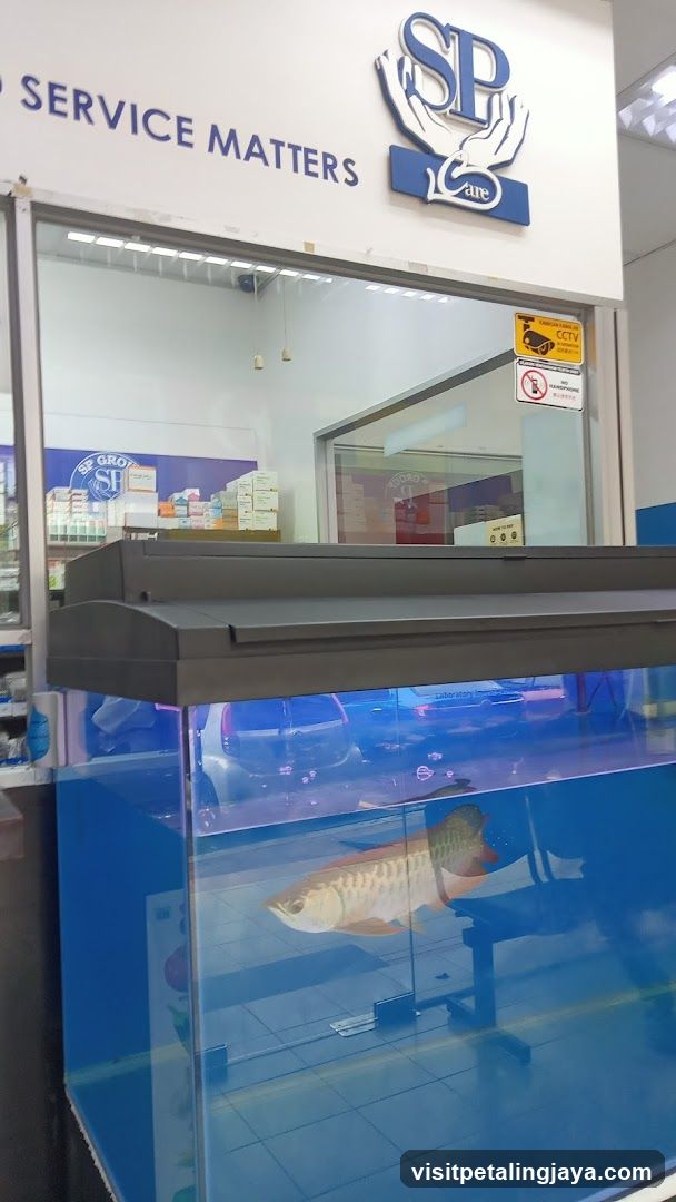 Fish Tank Display