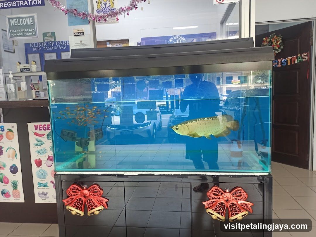 Fish Tank Display