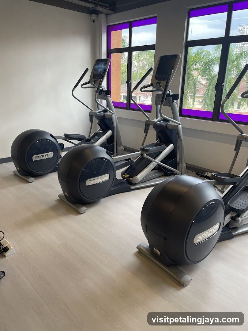 Gym Interior with Elliptical Machines