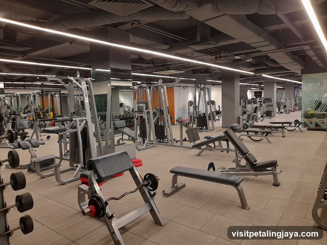 Gym Interior