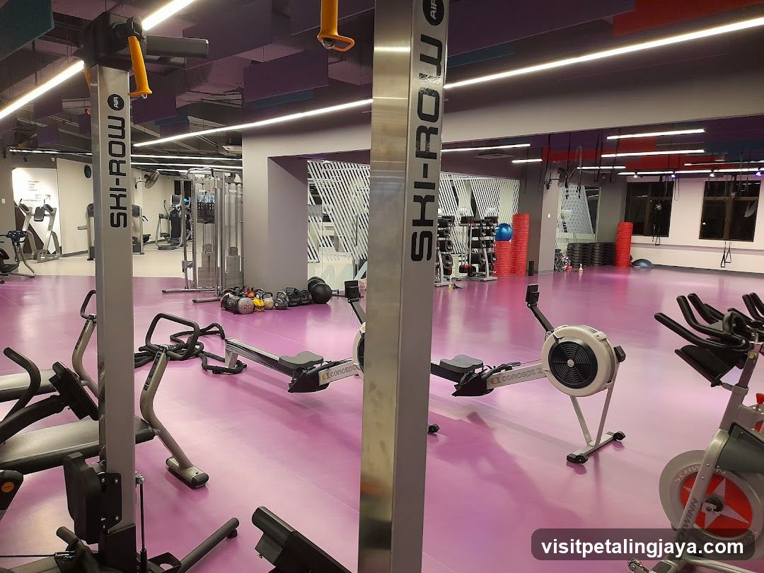Gym Interior with Rowing Machines and Equipment
