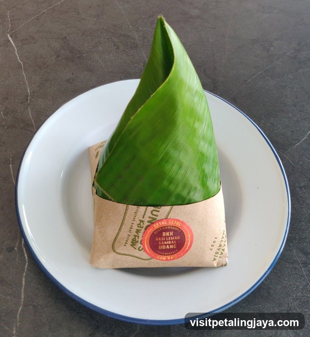 Wrapped Food Item on Plate