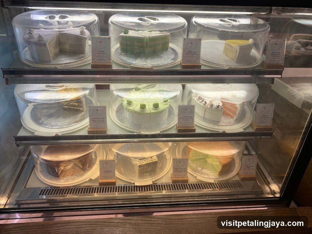 Cake Display Case