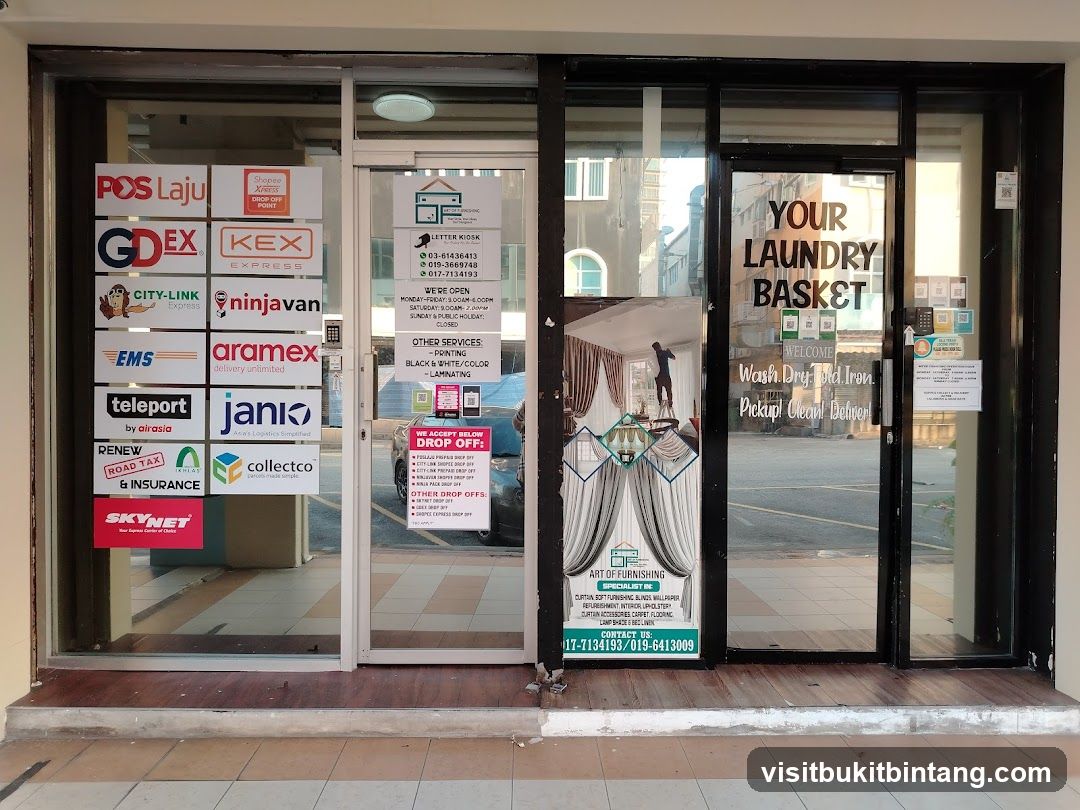Laundry and Courier Services