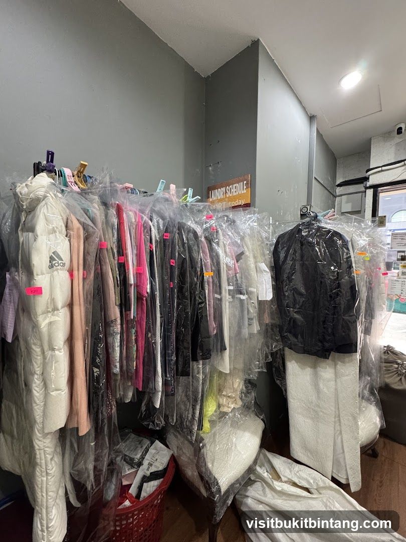 Dry Cleaning Service