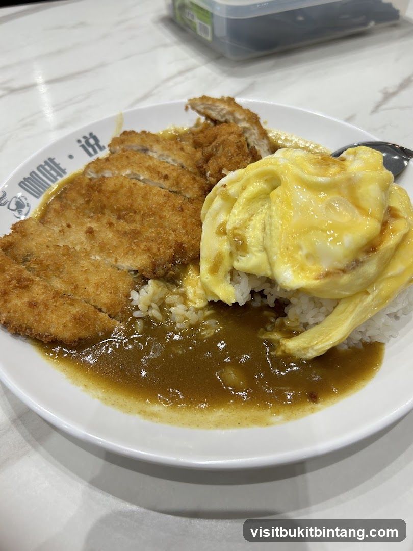 Chicken Katsu Curry with Omelette