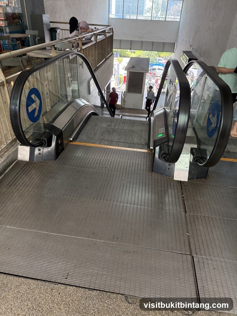 Escalators in an Indoor/Outdoor Space