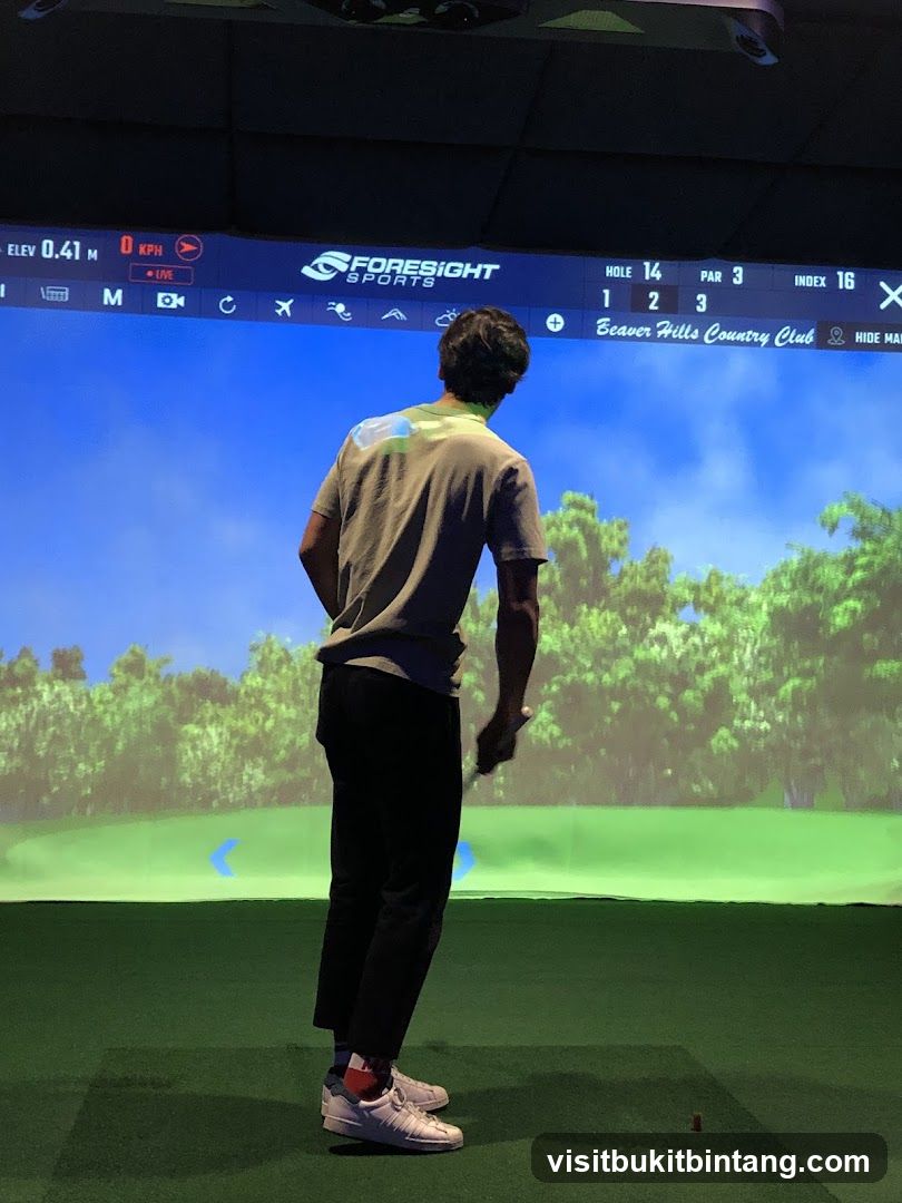 Indoor Golf Simulator