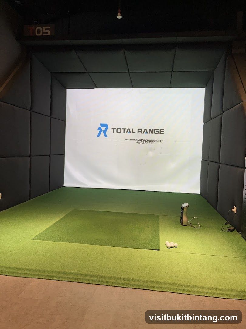 Indoor Golf Simulator