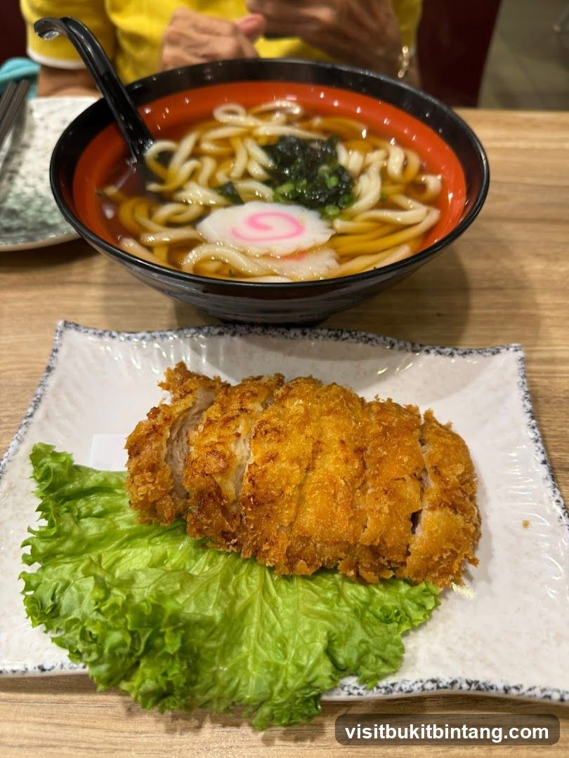 Udon Soup and Katsu