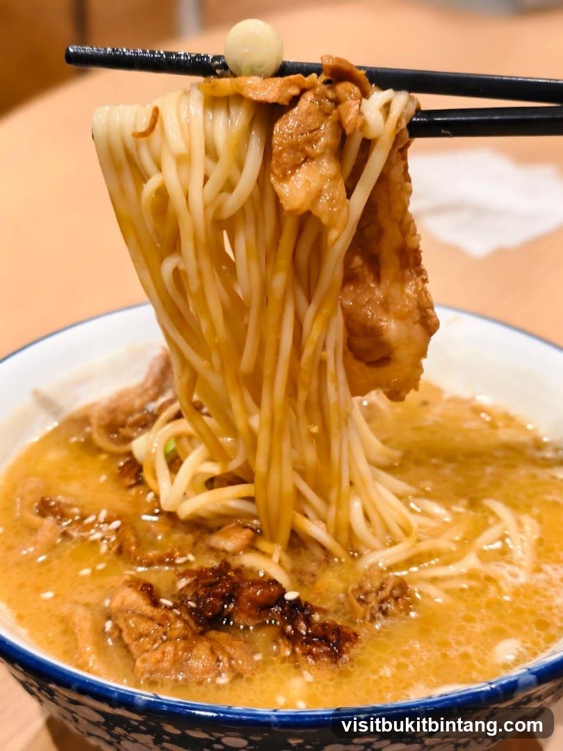 Noodles with Meat and Broth