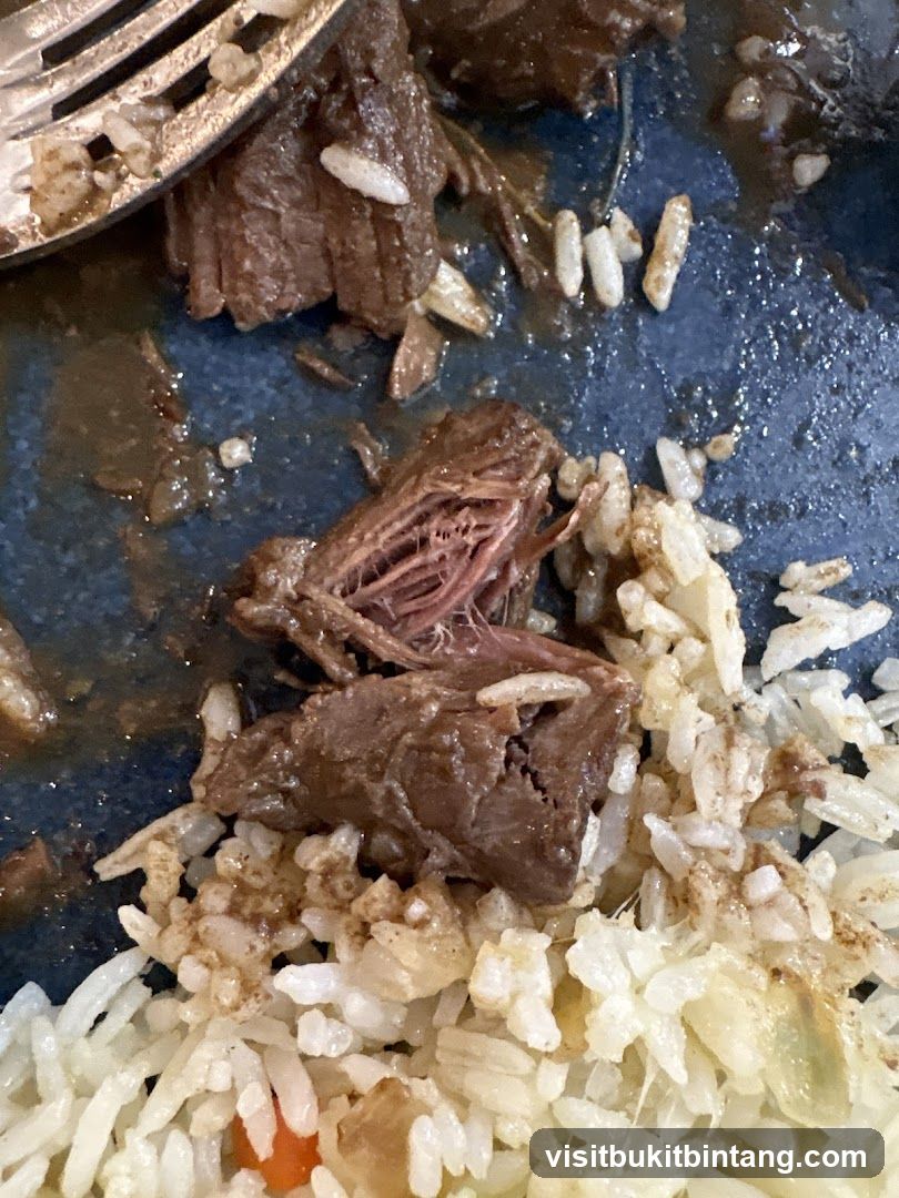 Shredded Beef and Rice