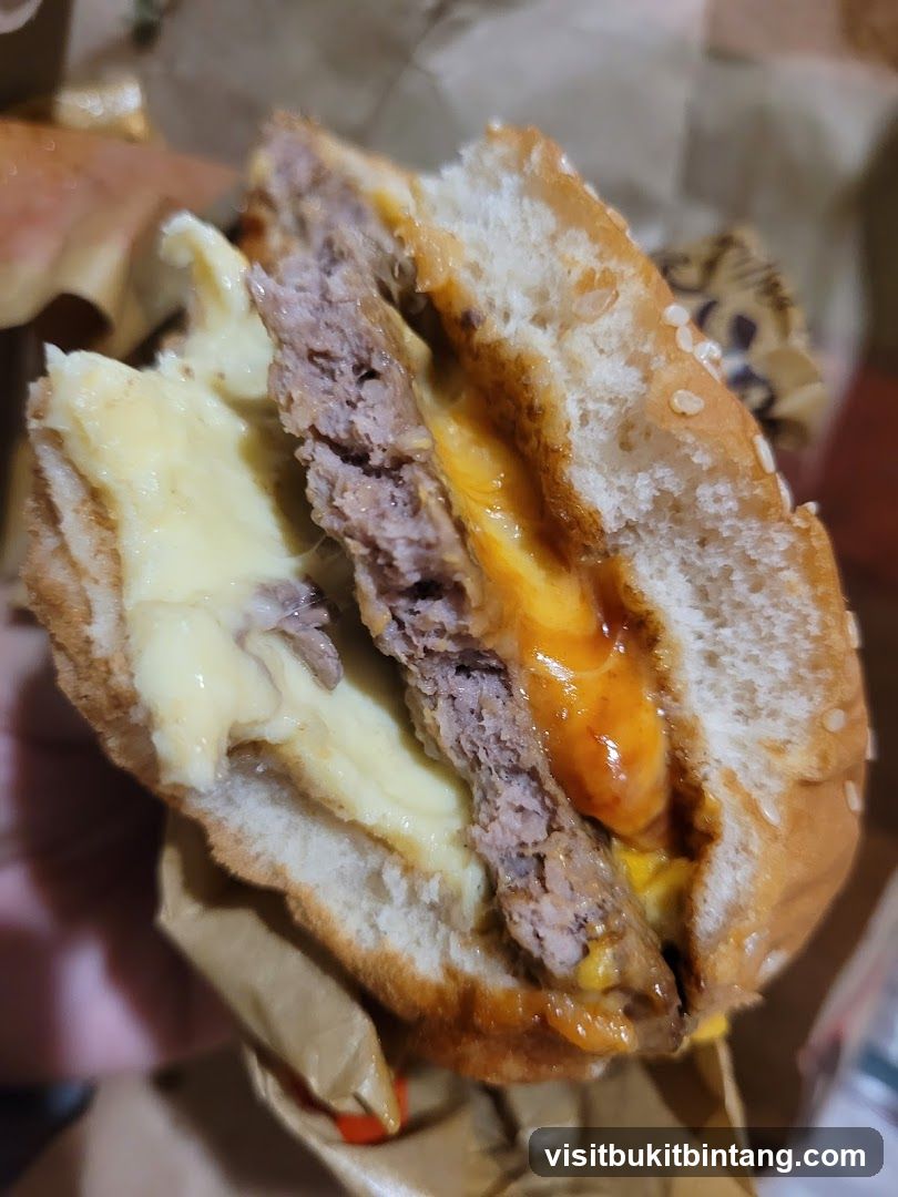 Burger with Cheese