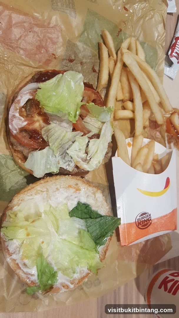 Burger and Fries