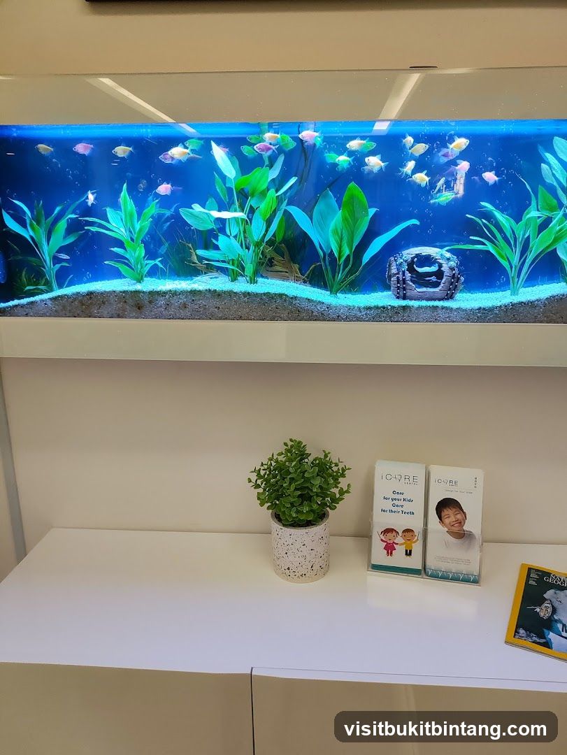 Dental Office Waiting Area