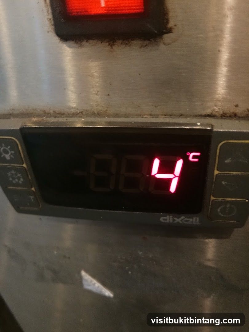 Digital Thermometer Display