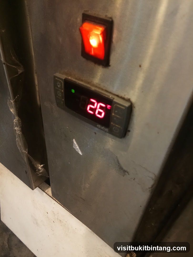 Digital Thermometer and Switch