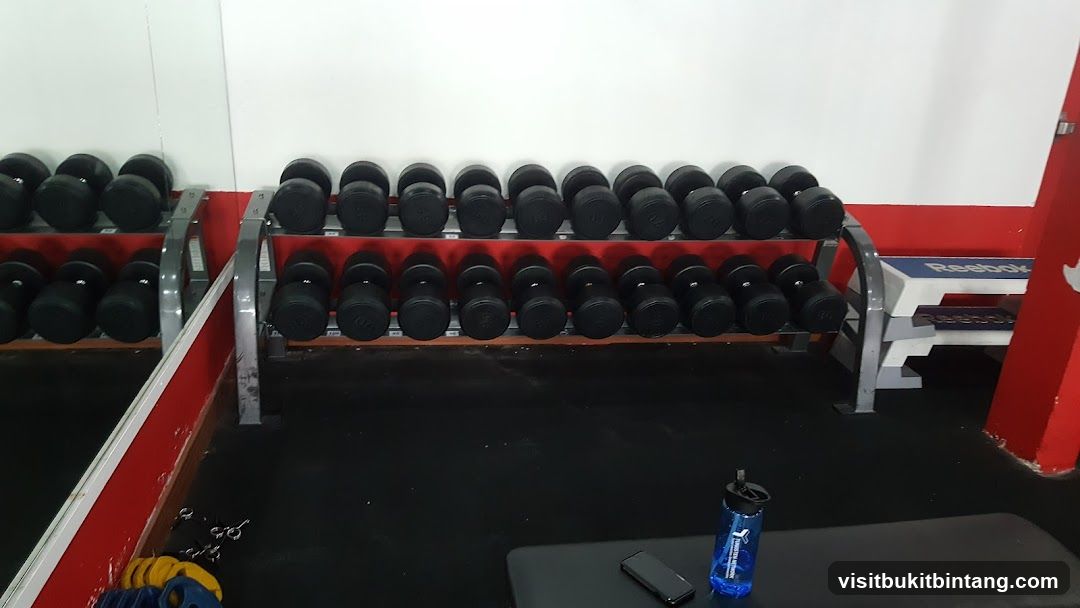Dumbbell Rack