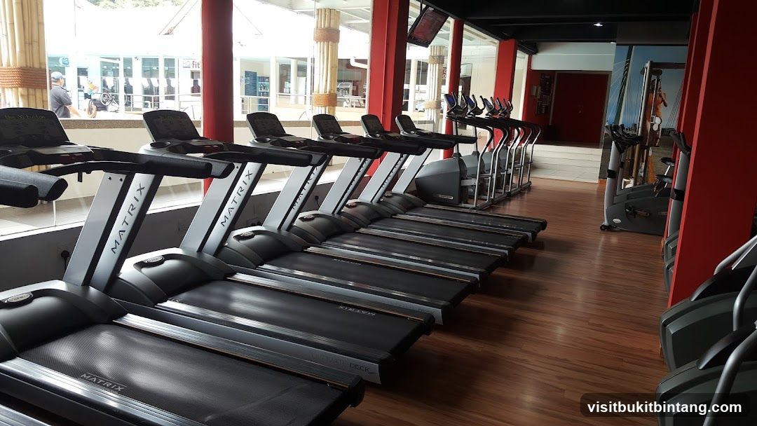 Gym Treadmills