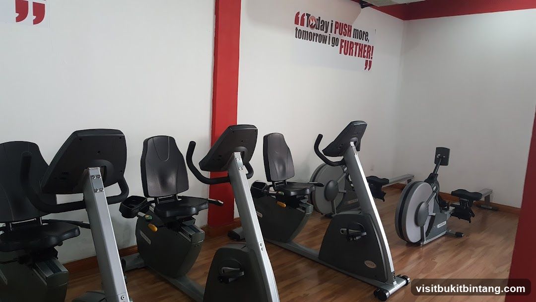 Gym Equipment
