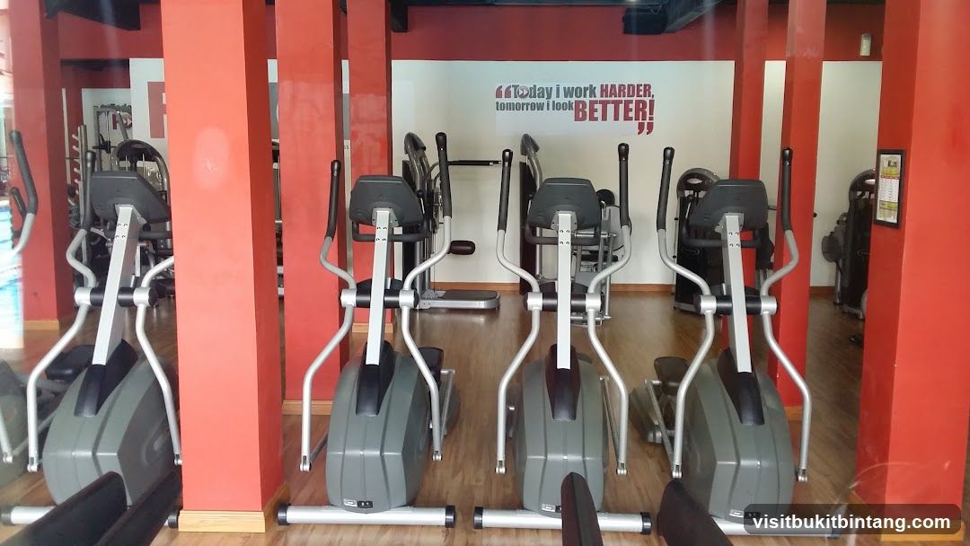 Gym Interior with Elliptical Machines