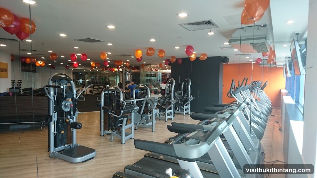 Gym Interior with Treadmills and Weight Machines