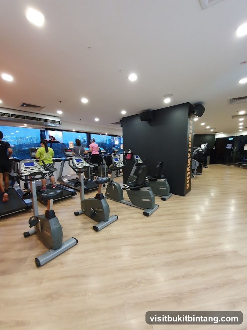 Gym Interior with Cardio Equipment