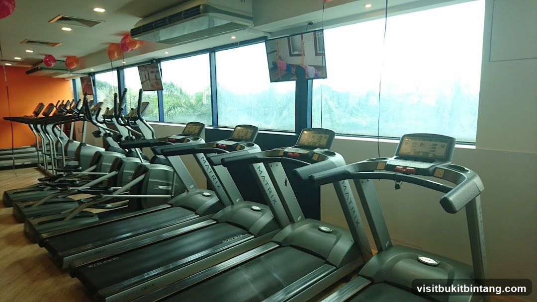 Gym Treadmills and Elliptical Machines